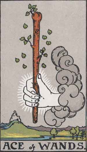 Ace of Wands tarot card from the Path of Light deck